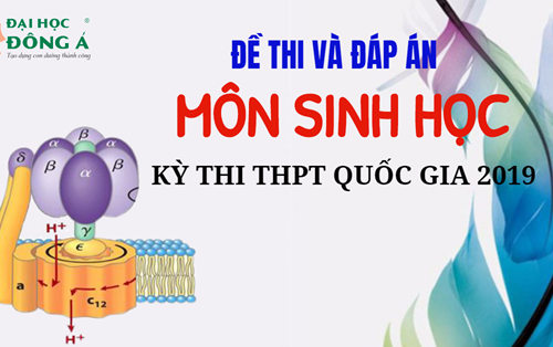 [Mới nhất] Đề thi và đáp án chính thức kỳ thi THPT Quốc gia 2019 - Môn Sinh học